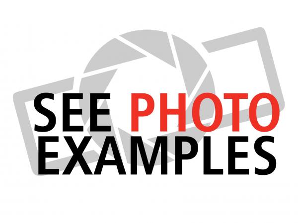 SEGUE Sunrise Hybrid Display Photos